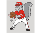 Little League Virginia District 14