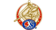 Congratulations to the 2021 Virginia District 14 Major Baseball Champions